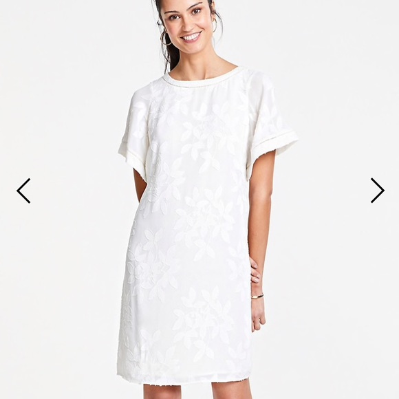 Ann Taylor Dresses & Skirts - Ann Taylor Leaves Jacquard Shift Dress. NWT. HP
